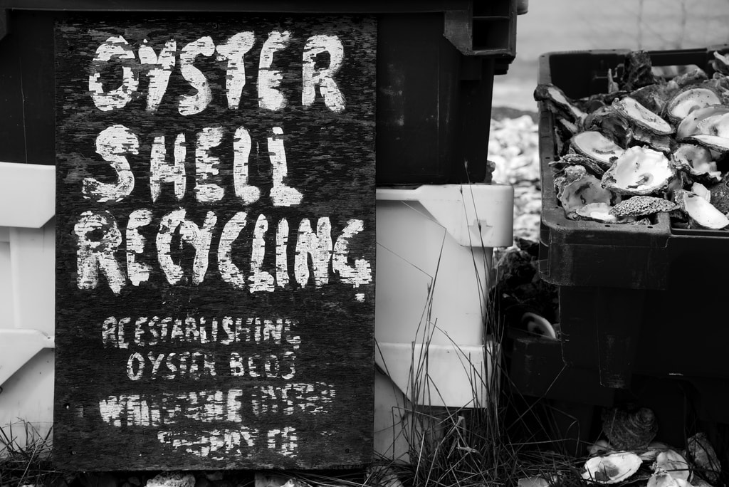 Oyster shell recycling plant