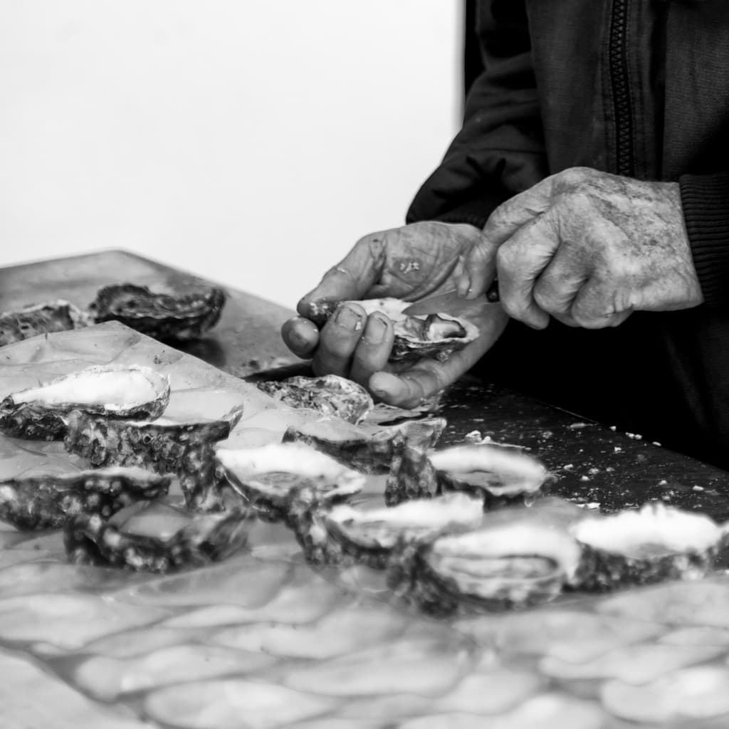 Oyster shucking, Whitstable