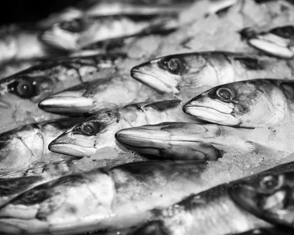 Fish at the Market, Whitstable