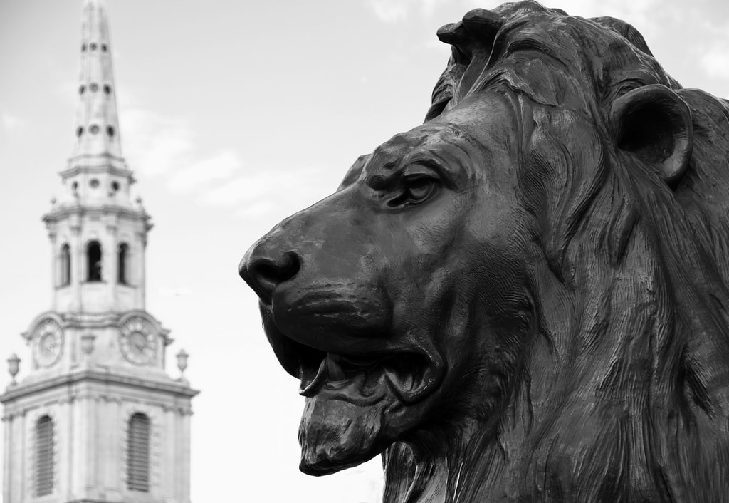 Lion and St Martins London