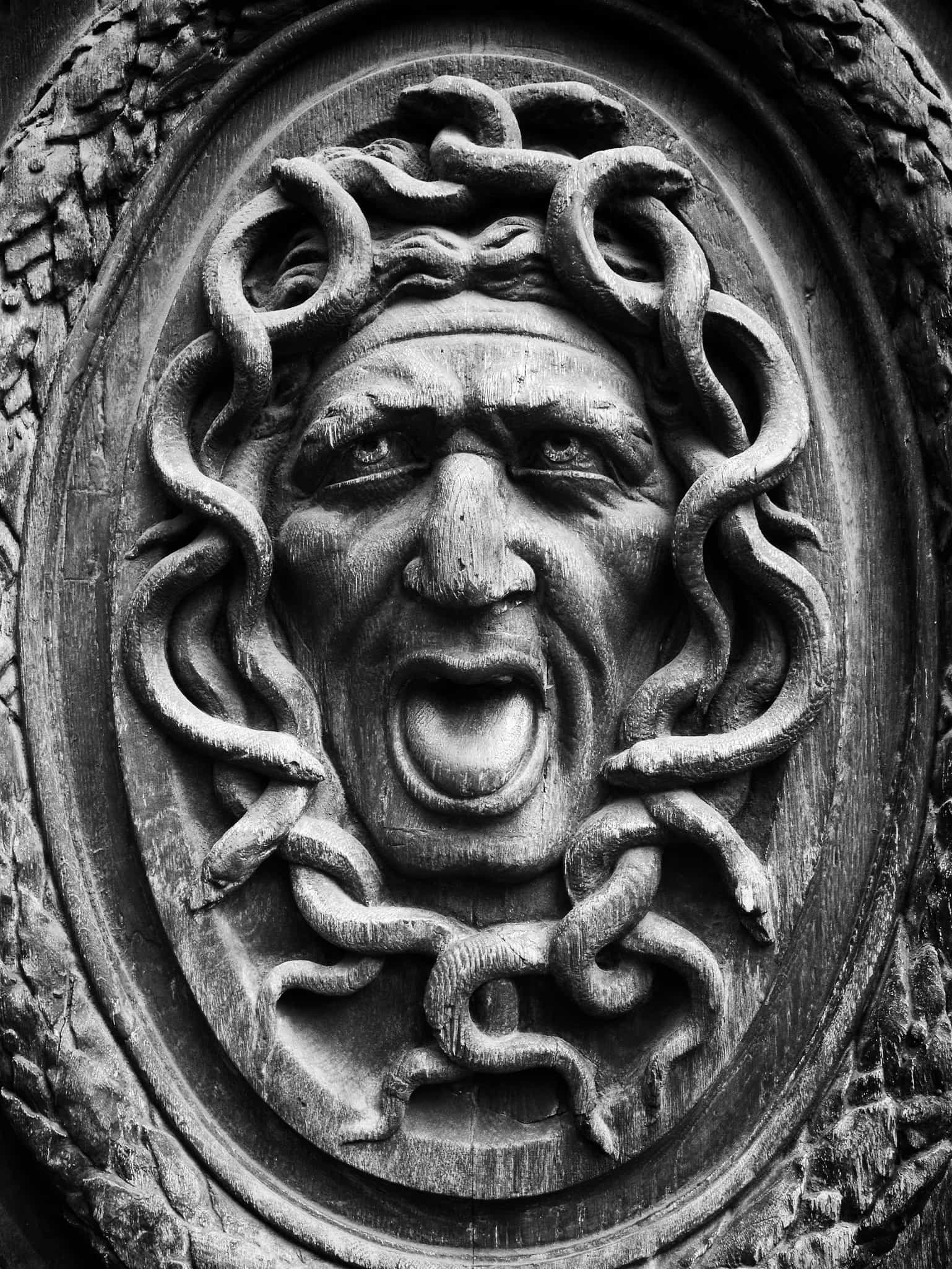 snake hair paris
