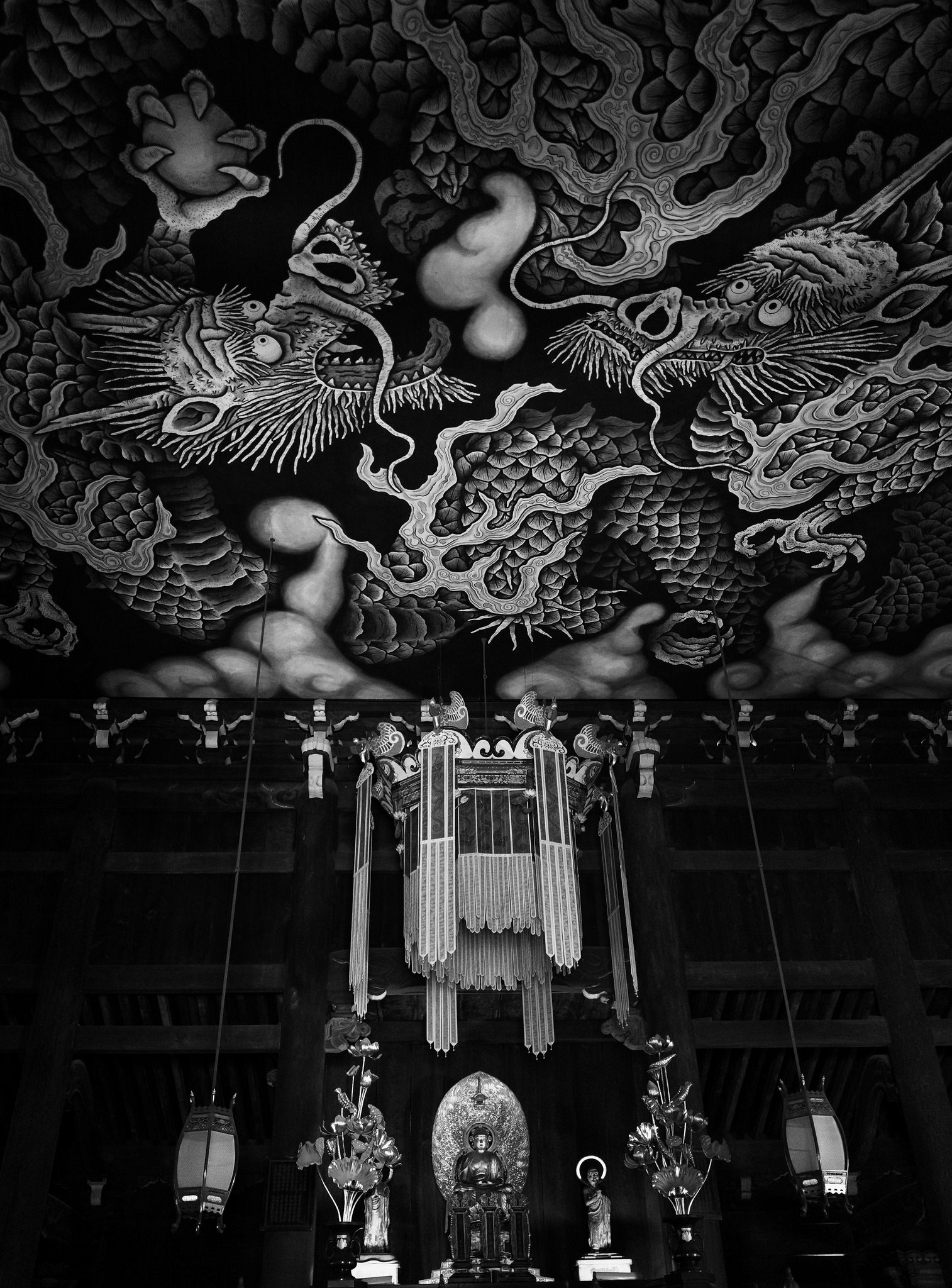 Twin Dragons Kyoto