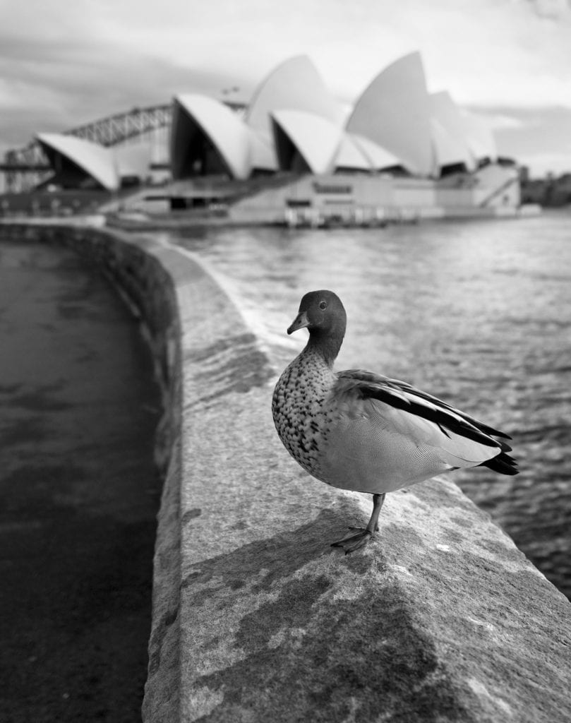 Sydney Opera House Leica Q