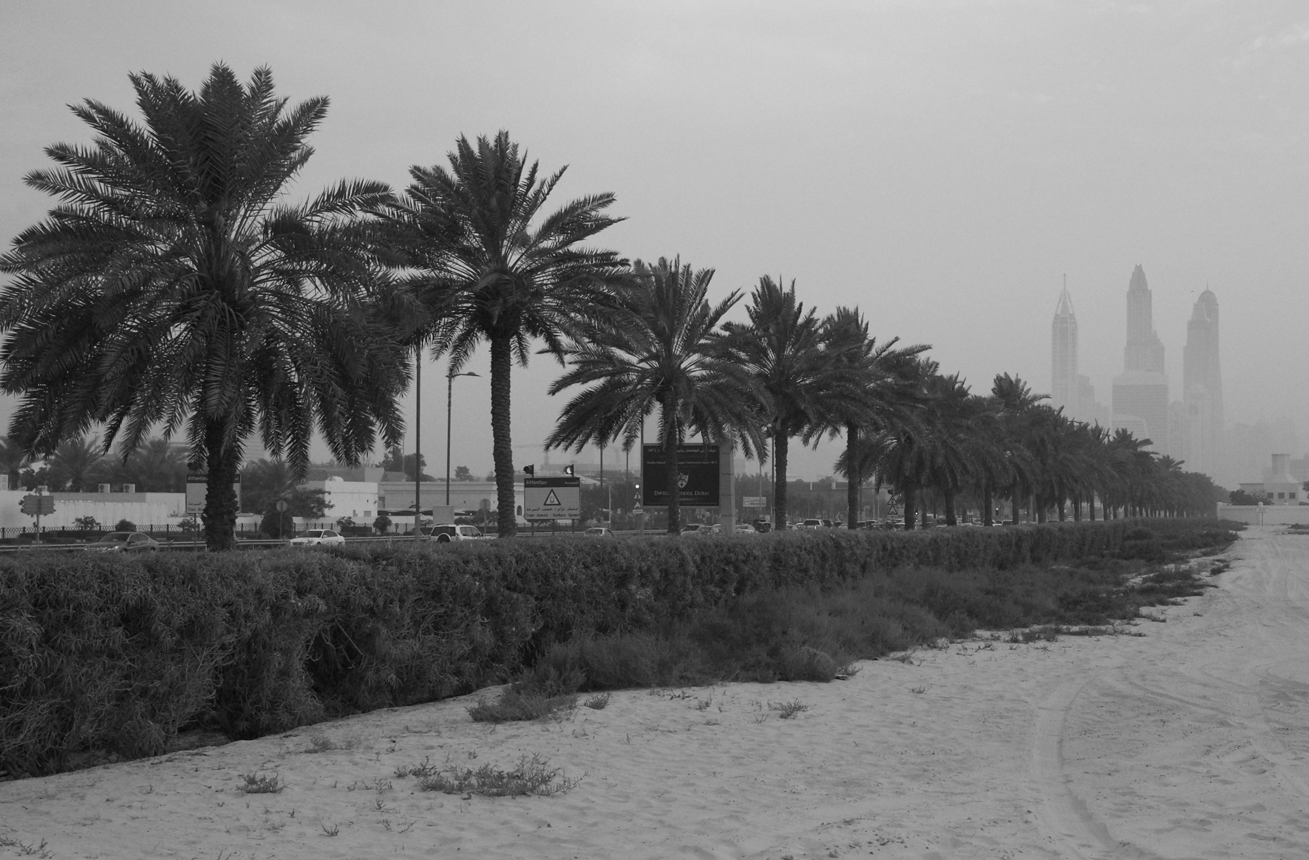Dubai in the dust