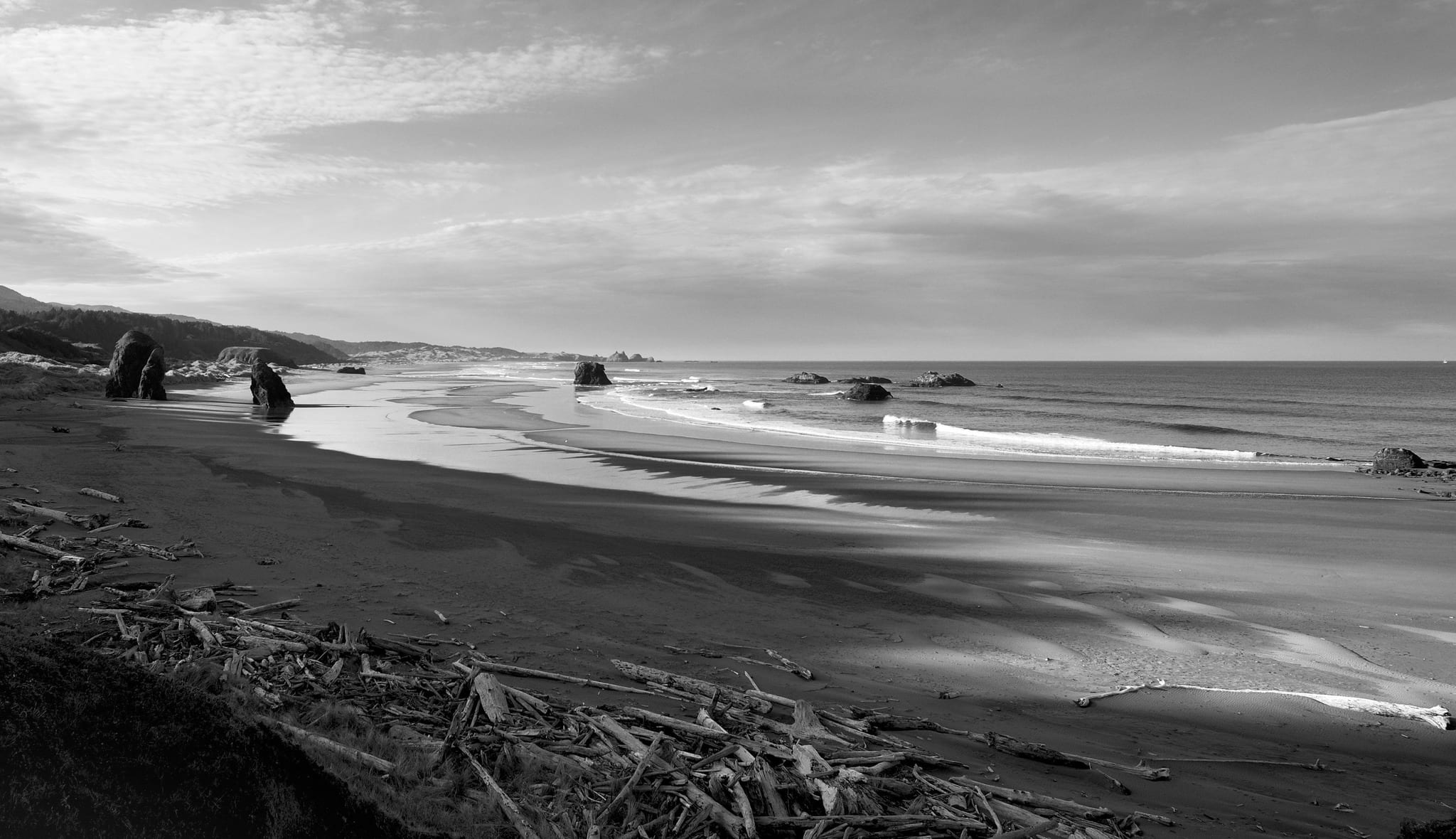 Oregon Coastal Highway
