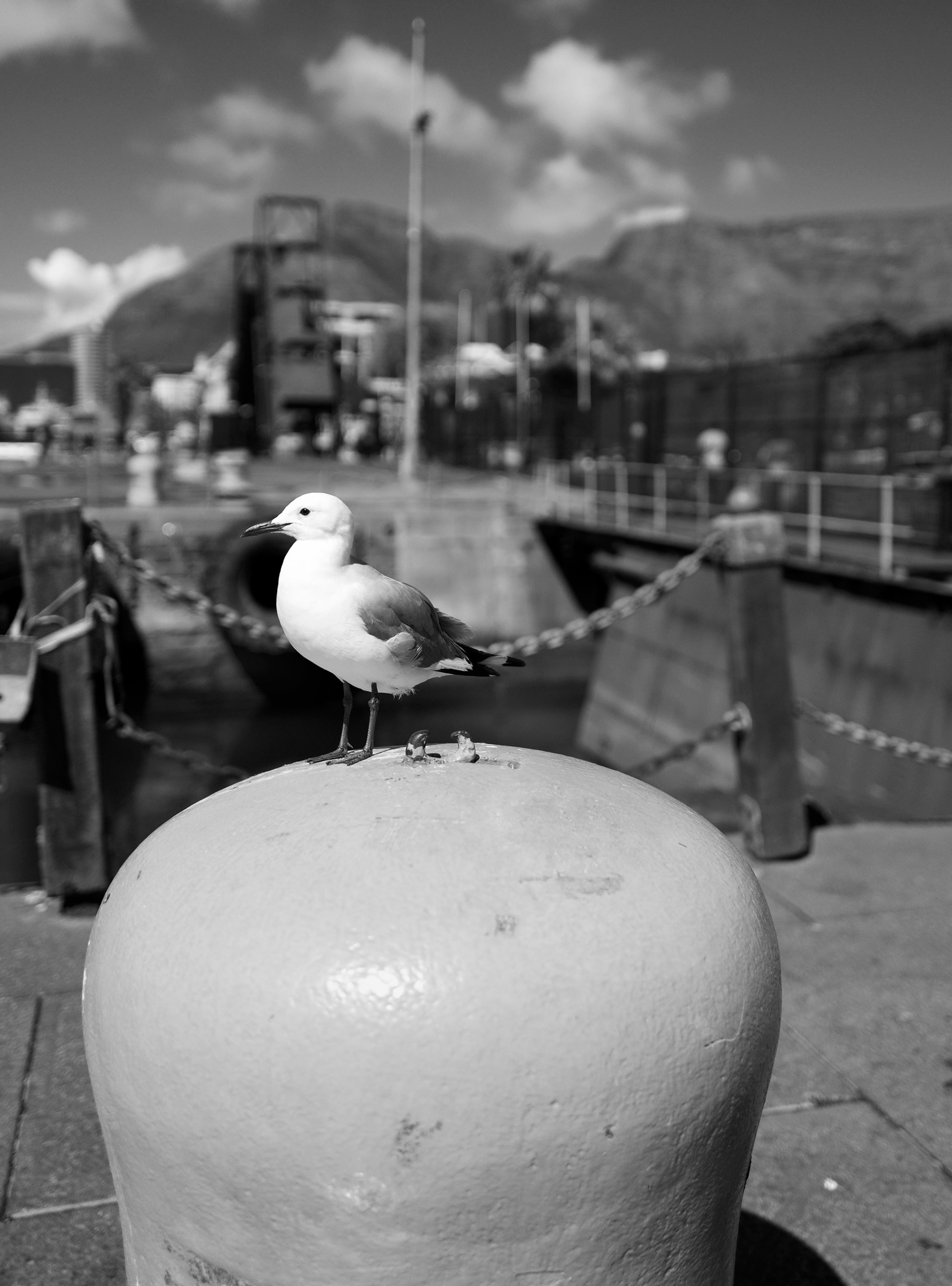 V&A Waterfront South Africa