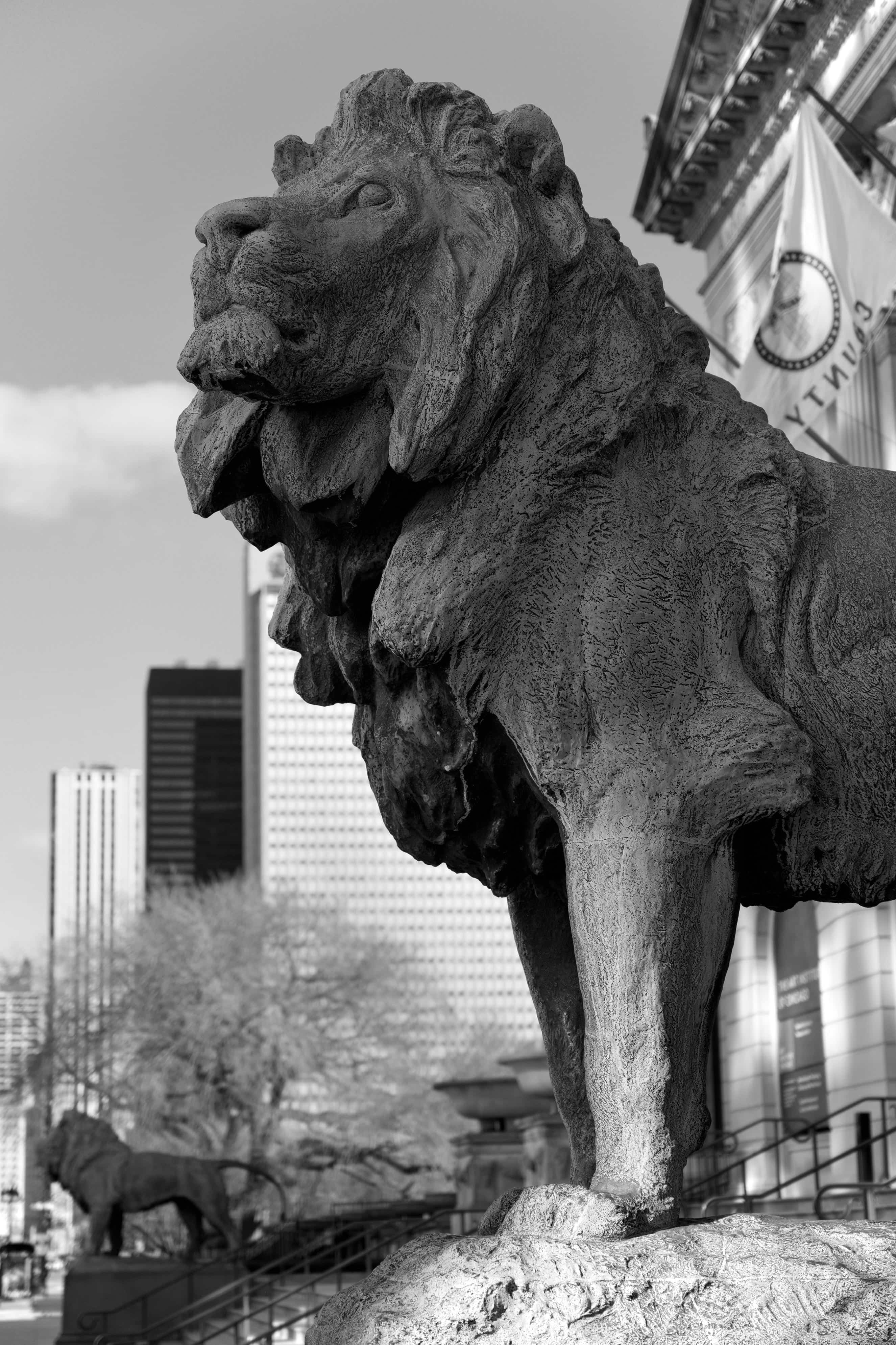 Art Institute Chicago