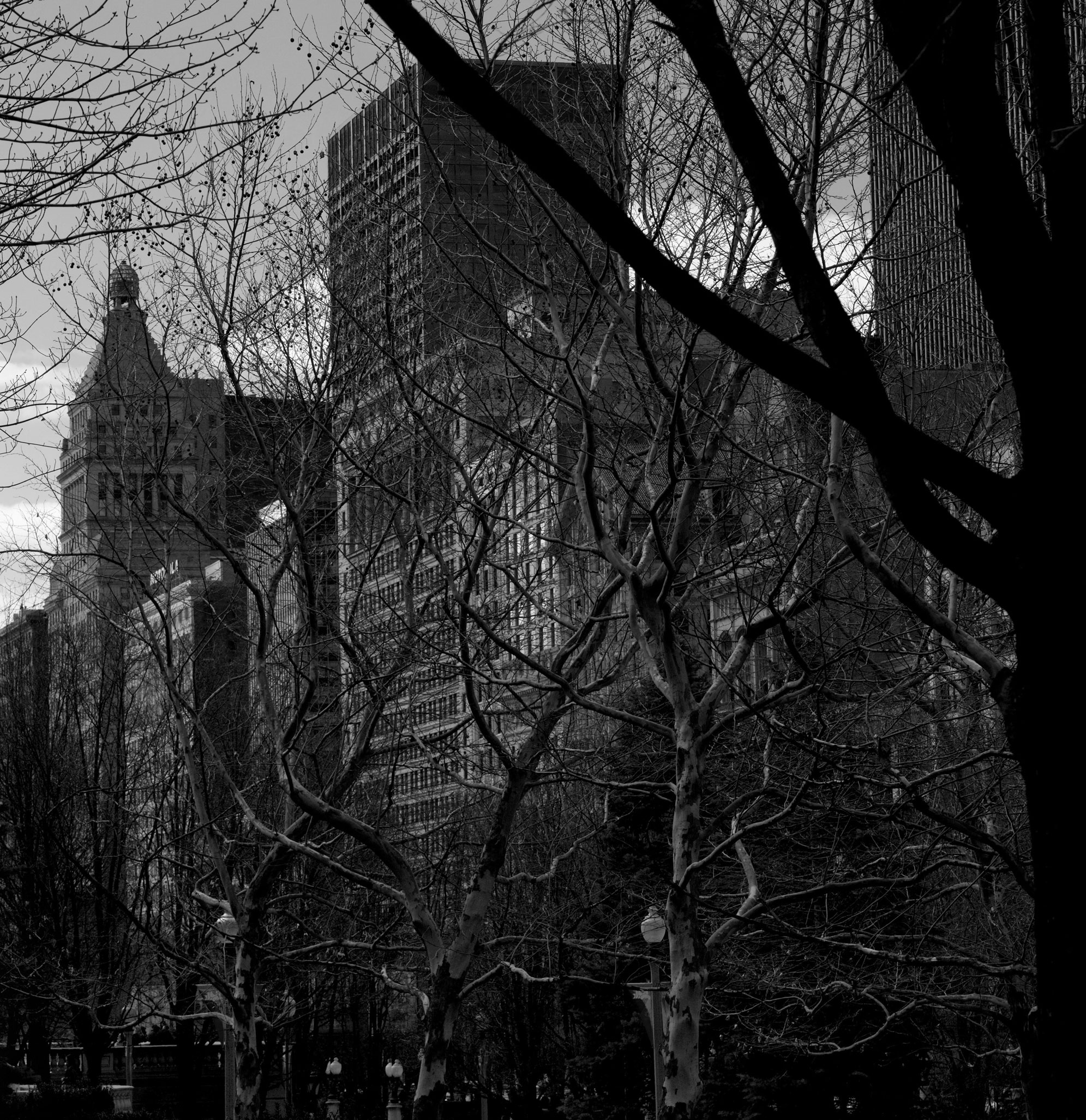 Millenium Park Chicago