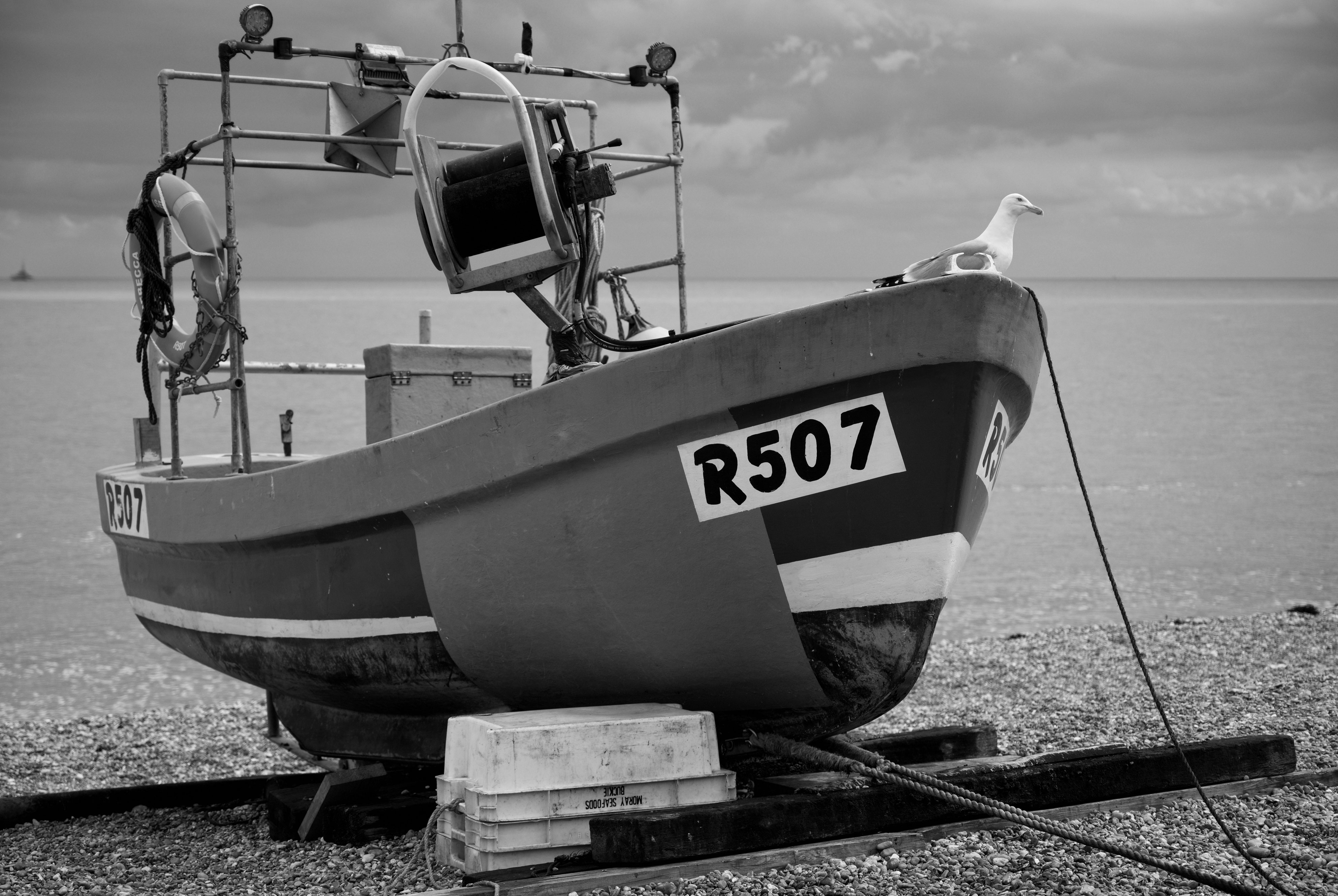 Deal beach R507 boat gull black and white