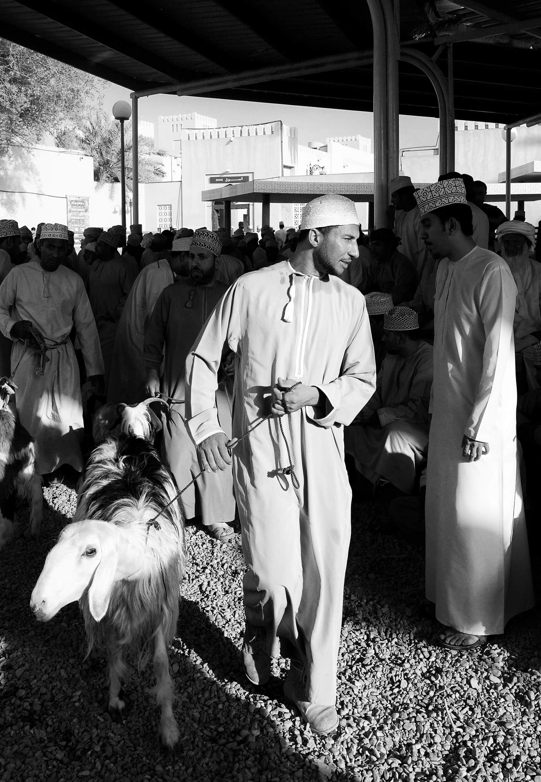 Goat at market Nizwa Oman mountains