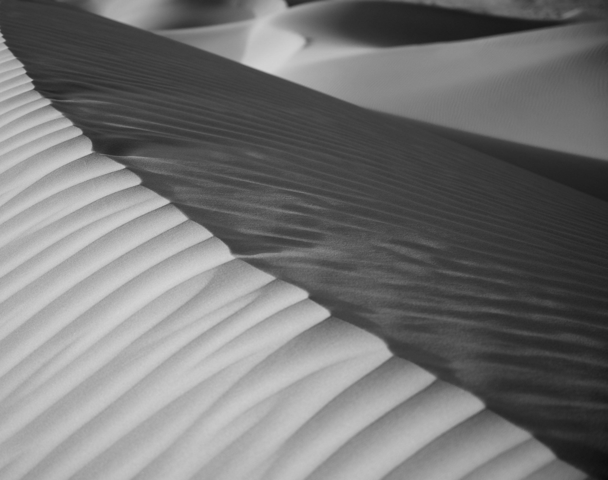 Ridge dune Empty Quarter