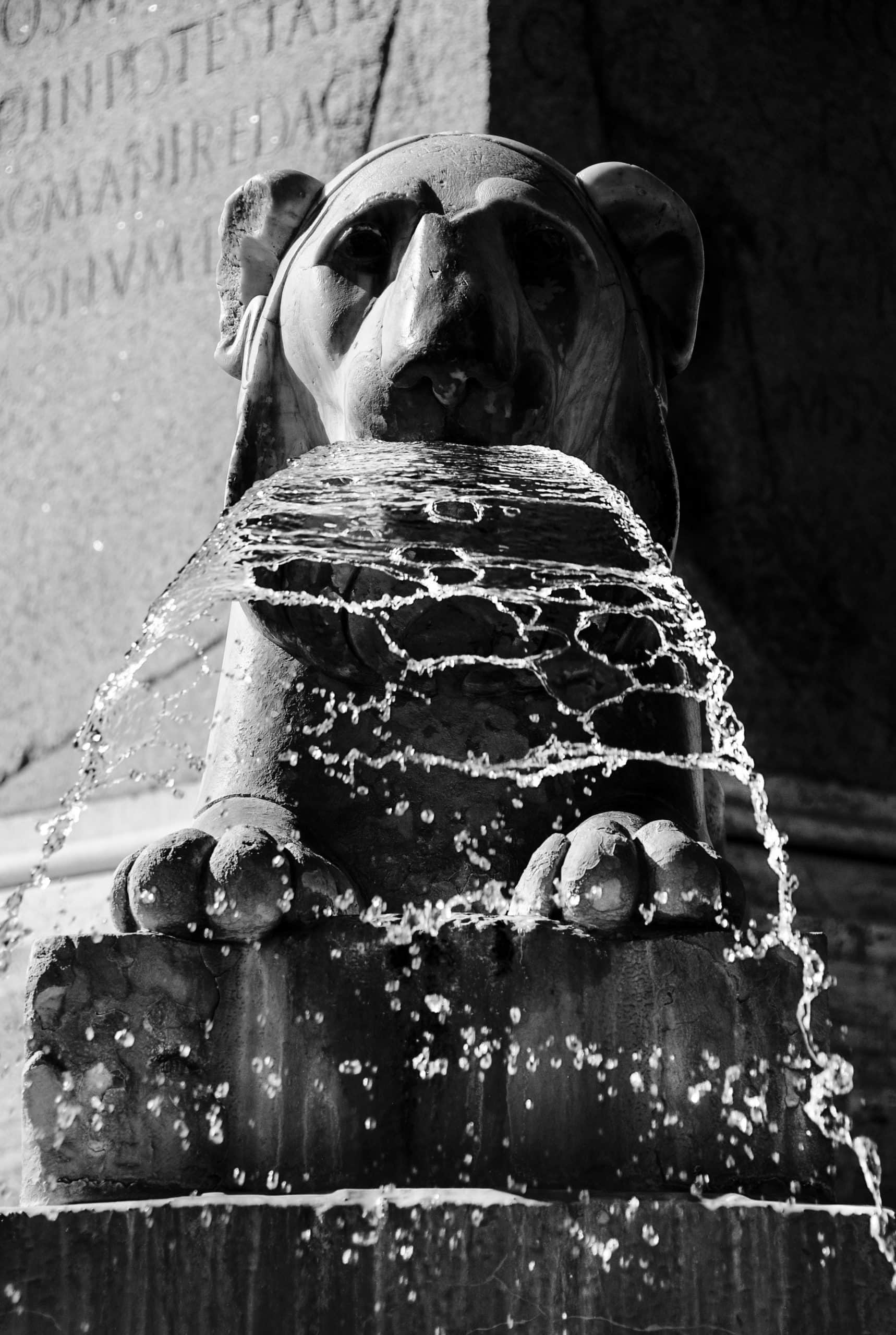Lion Piazza del Popolo